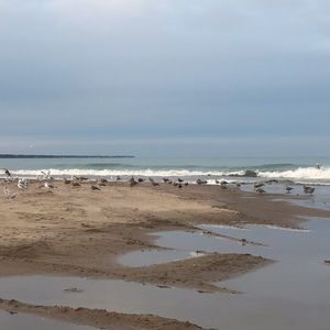 Meet your Posher, Leslie